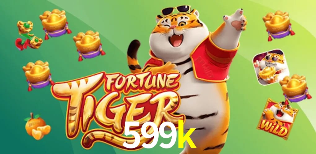 Experiência VIP 599k